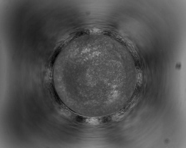 X0000103330419200810171428