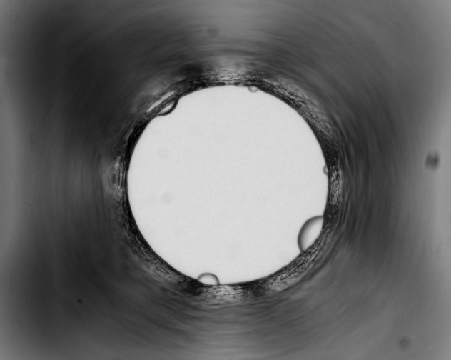 X0000103330421200810171428