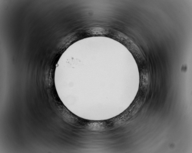 X0000103330422200810171428