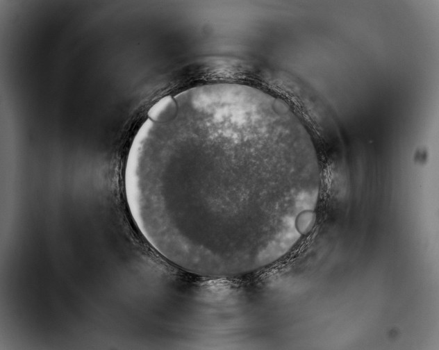 X0000103330423200810171428