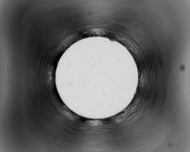 X0000103330424200810171428