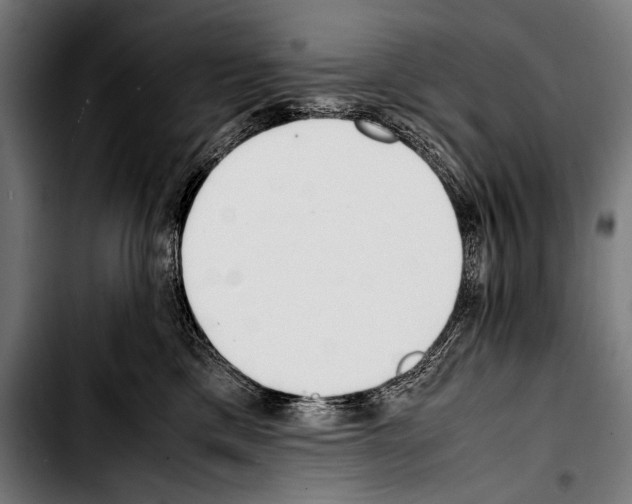 X0000103330425200810171428