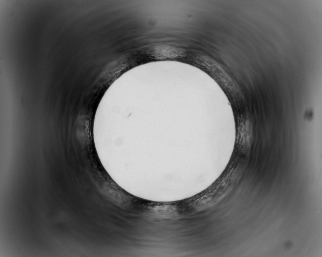 X0000103330426200810171428