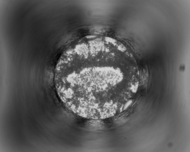 X0000103330427200810171428