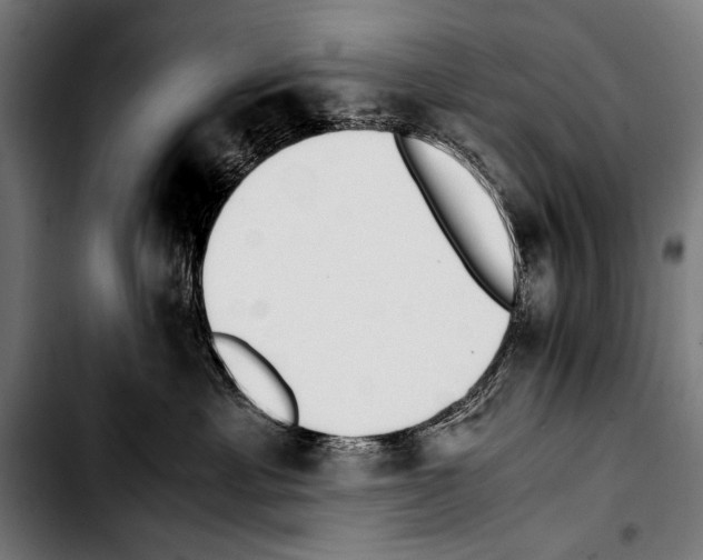 X0000103330429200810171428