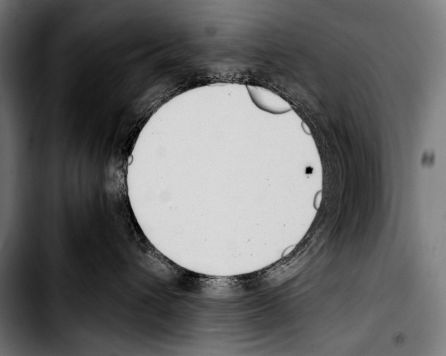 X0000103330432200810171428