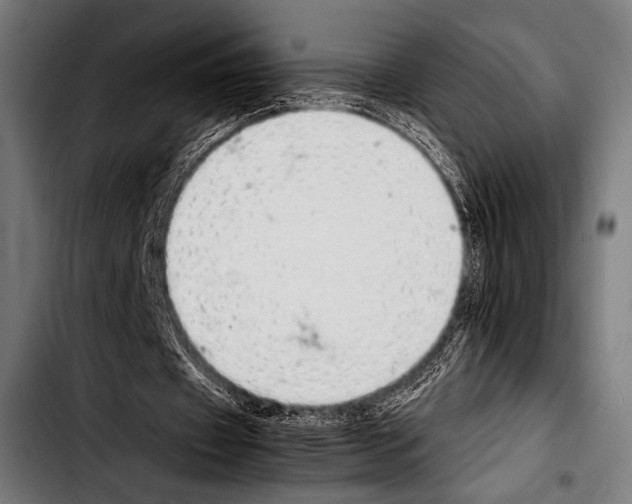 X0000103330433200810171427