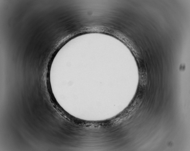 X0000103330434200810171427