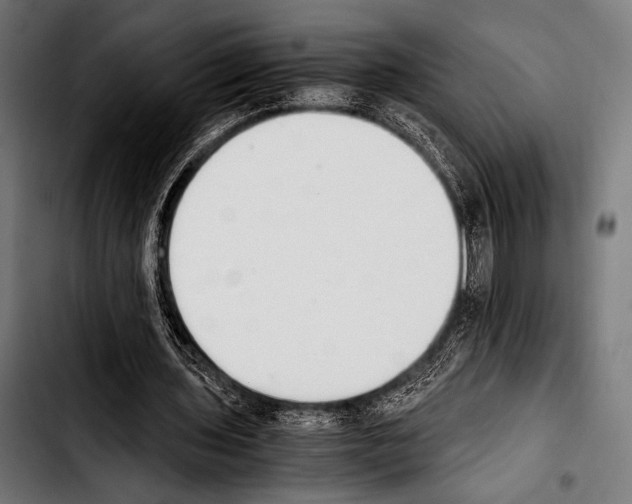 X0000103330435200810171427