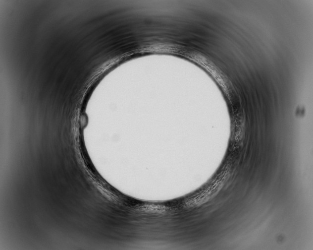 X0000103330437200810171427