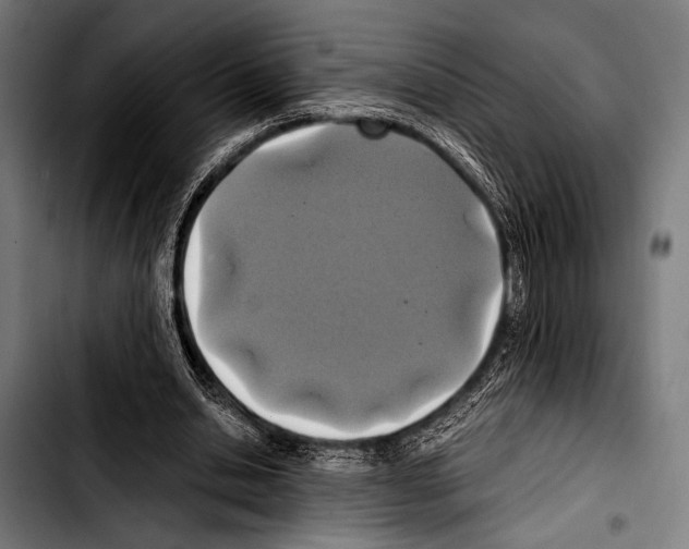 X0000103330438200810171427