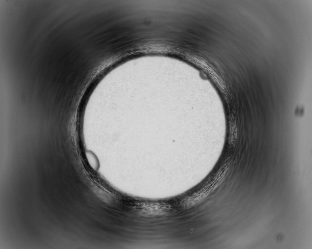 X0000103330439200810171427