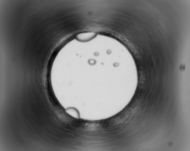 X0000103330440200810171427