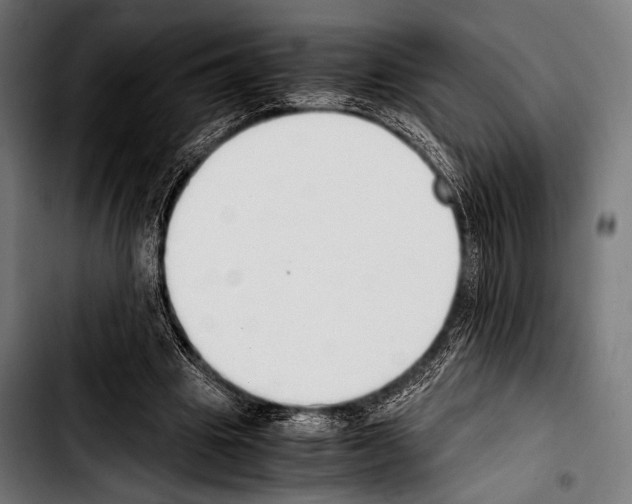 X0000103330441200810171427