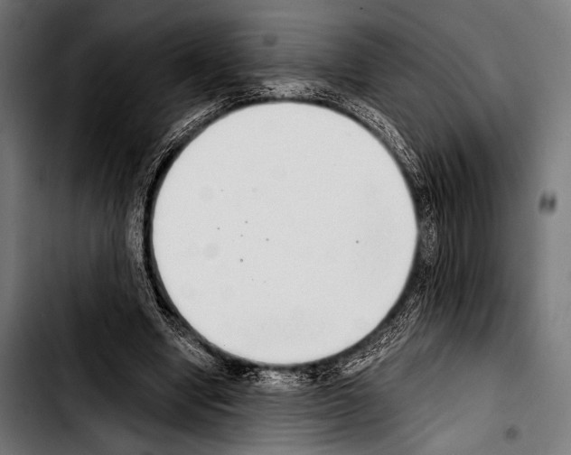 X0000103330442200810171427