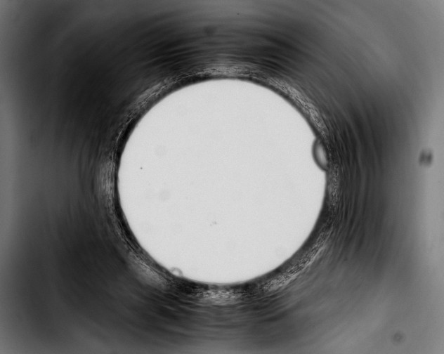 X0000103330445200810171427