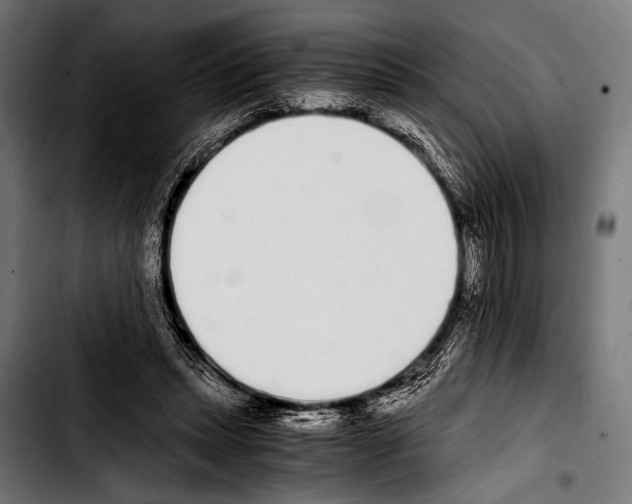 X0000103330447200810171427