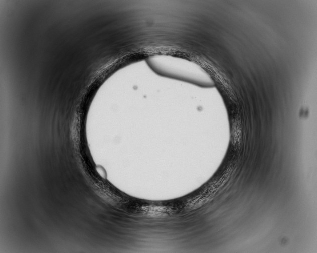 X0000103330448200810171427