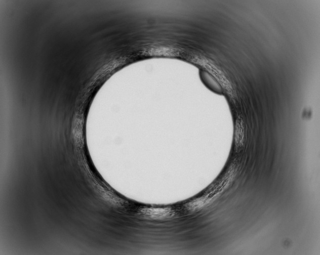 X0000103330449200810171428