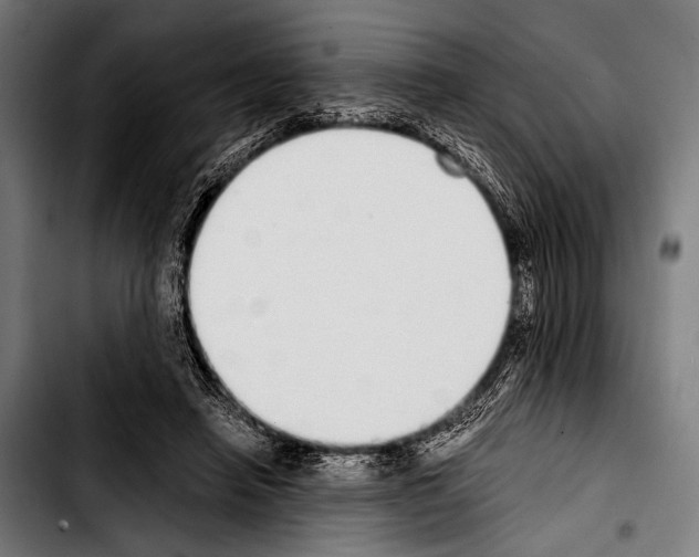 X0000103330450200810171428