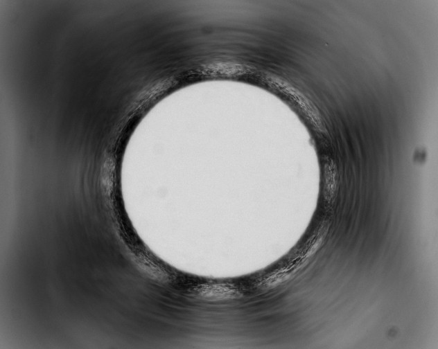 X0000103330451200810171428