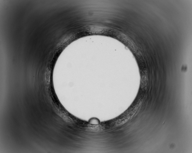 X0000103330454200810171428