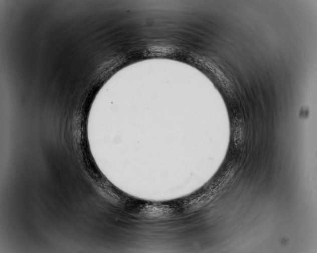 X0000103330455200810171428