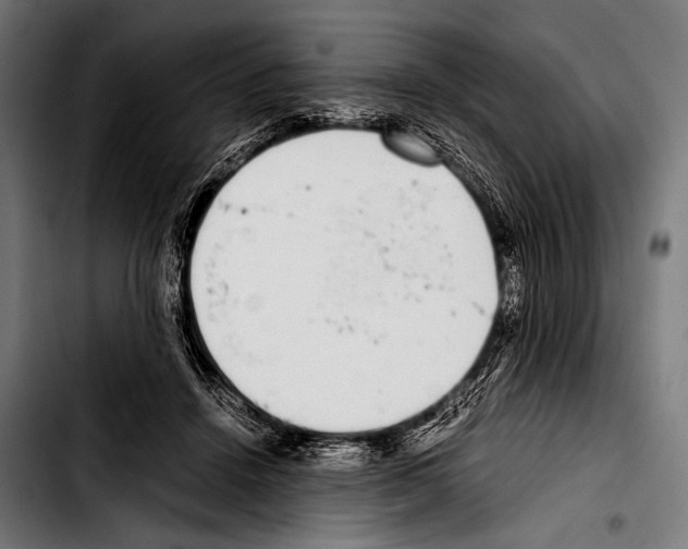 X0000103330456200810171428