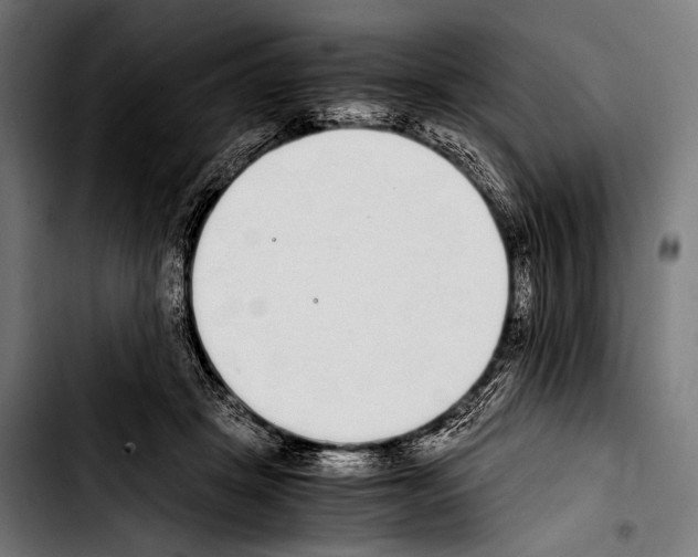 X0000103330457200810171428