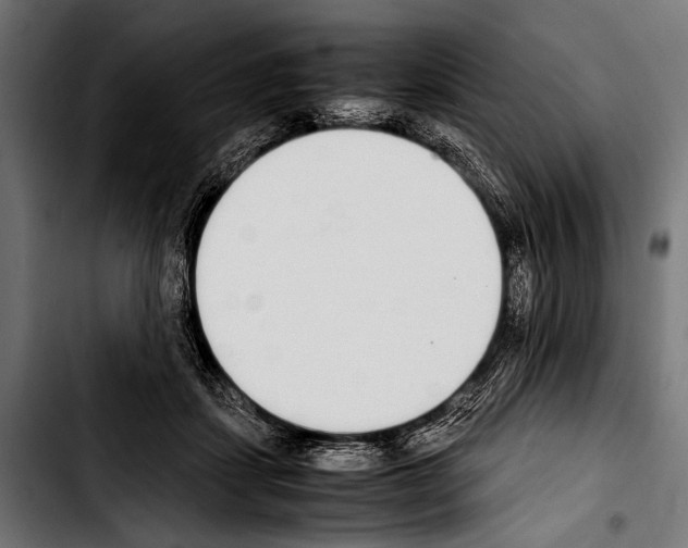 X0000103330459200810171428