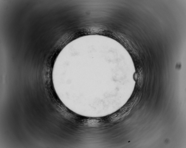 X0000103330462200810171428