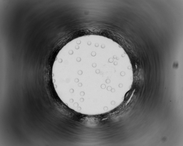 X0000103330464200810171428