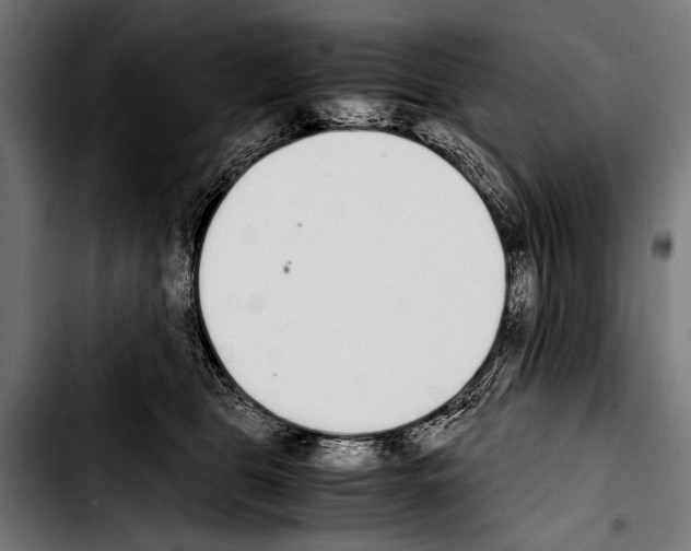 X0000103330469200810171428