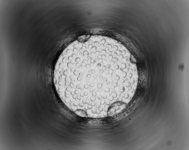 X0000103330470200810171428