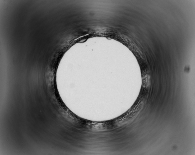 X0000103330472200810171428