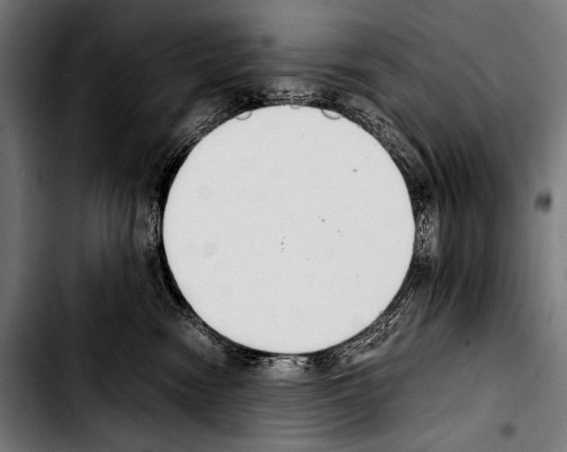 X0000103330474200810171428