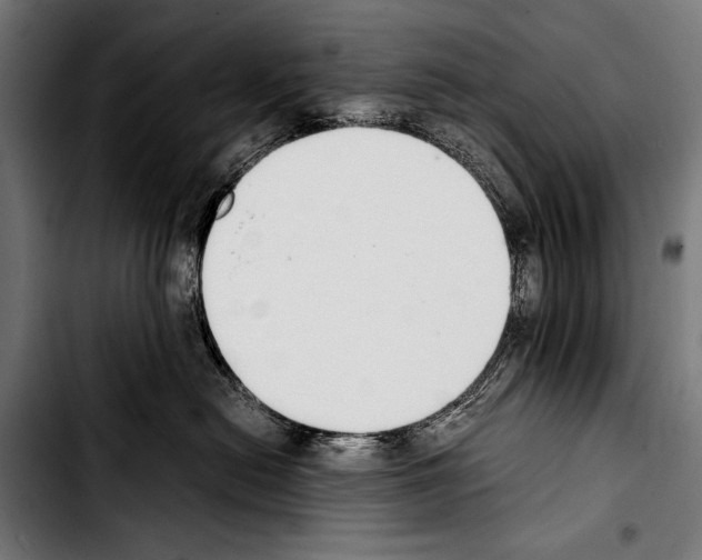 X0000103330478200810171428