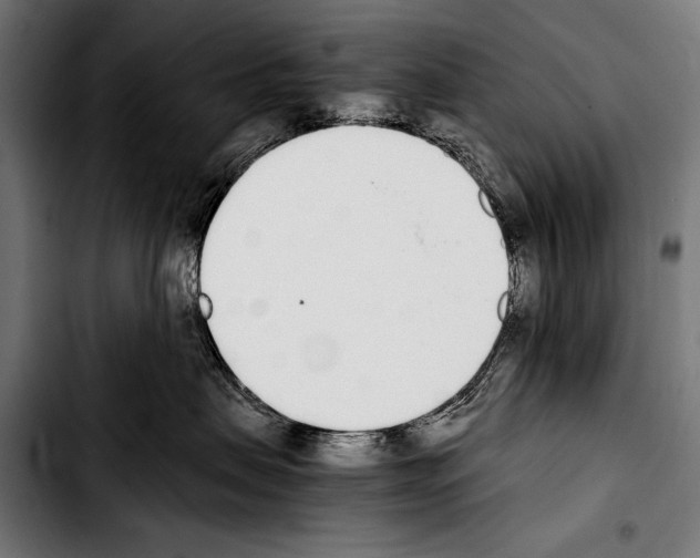 X0000103330479200810171428