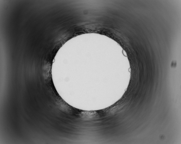 X0000103330480200810171428