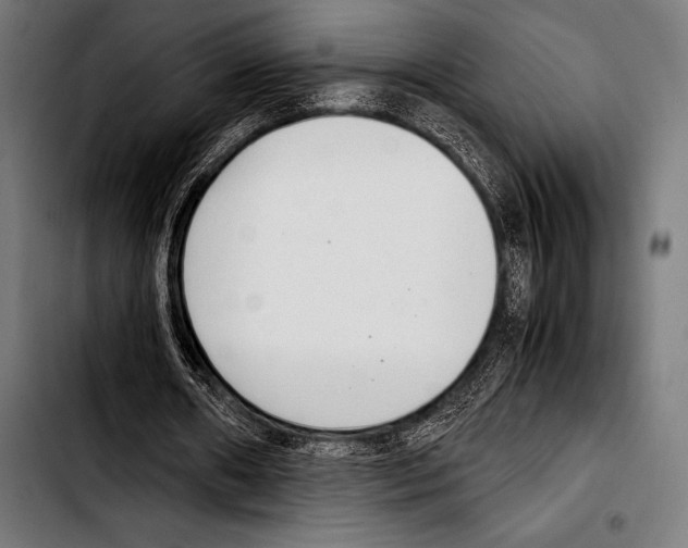 X0000103330482200810171427