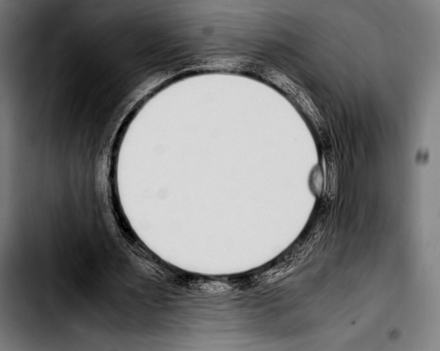 X0000103330483200810171427