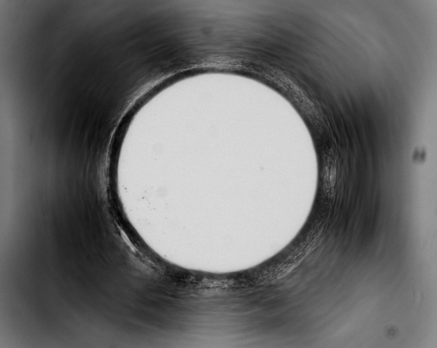 X0000103330484200810171427