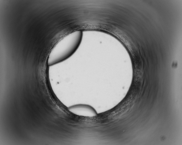 X0000103330485200810171427