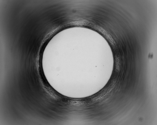 X0000103330486200810171427