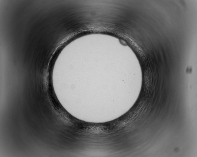 X0000103330488200810171427