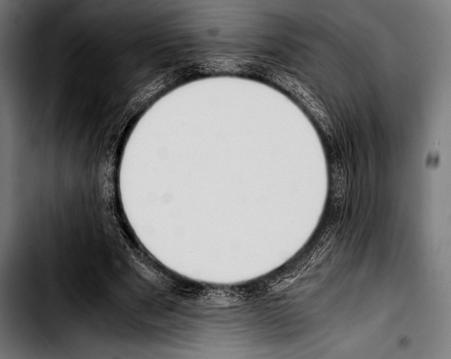 X0000103330489200810171427