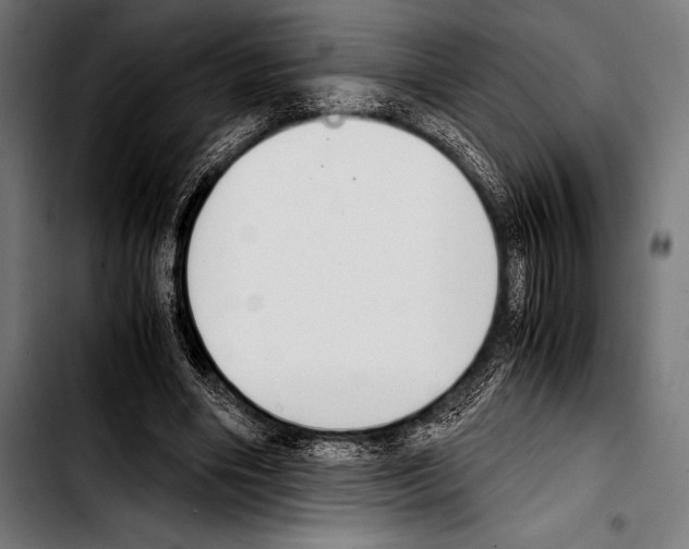 X0000103330490200810171427