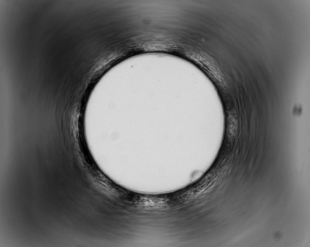 X0000103330491200810171427