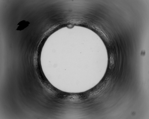 X0000103330492200810171427