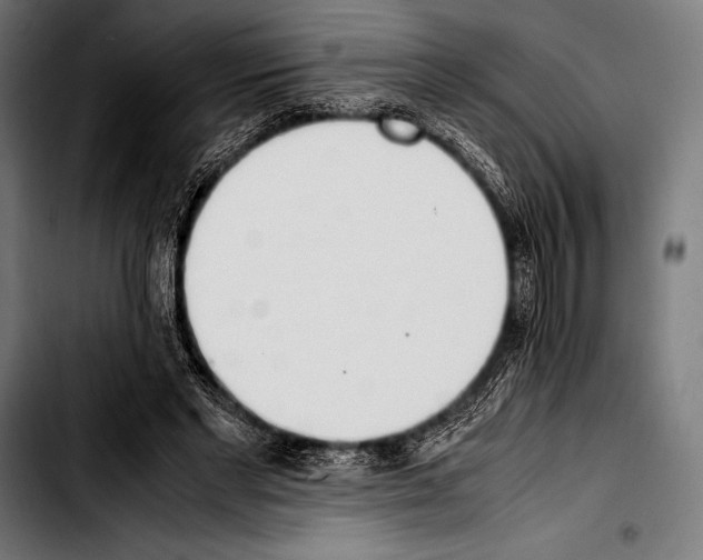 X0000103330493200810171427